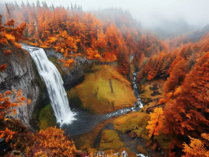 Generative restyle: turn the forest to autumn, after